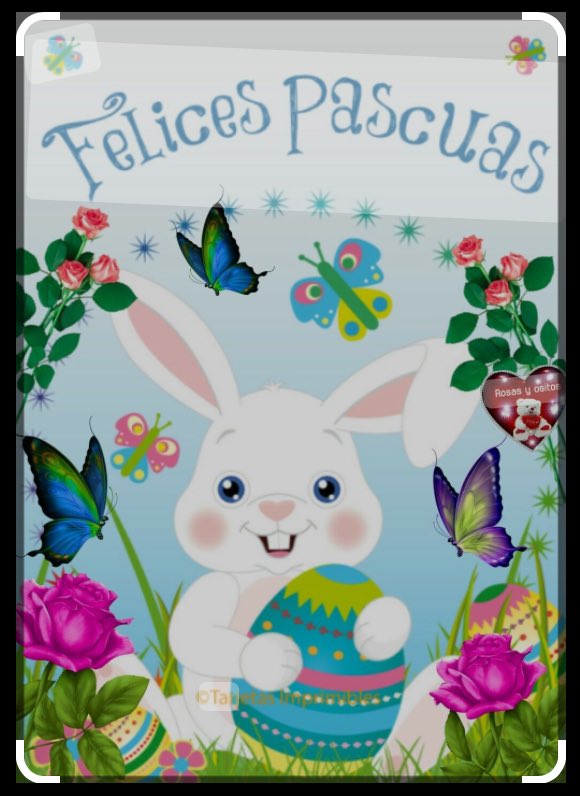 Sra. Fecay tweet media