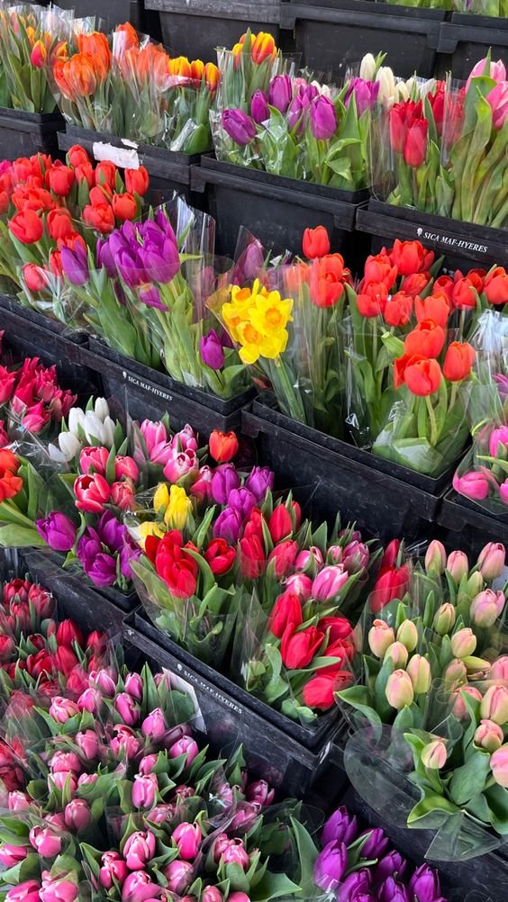 liIacdaisy's tweet photo. APRIL: spring walks, meetings with friends, bike trips, reading books &amp; having fun https://t.co/NEKmv1TqGJ