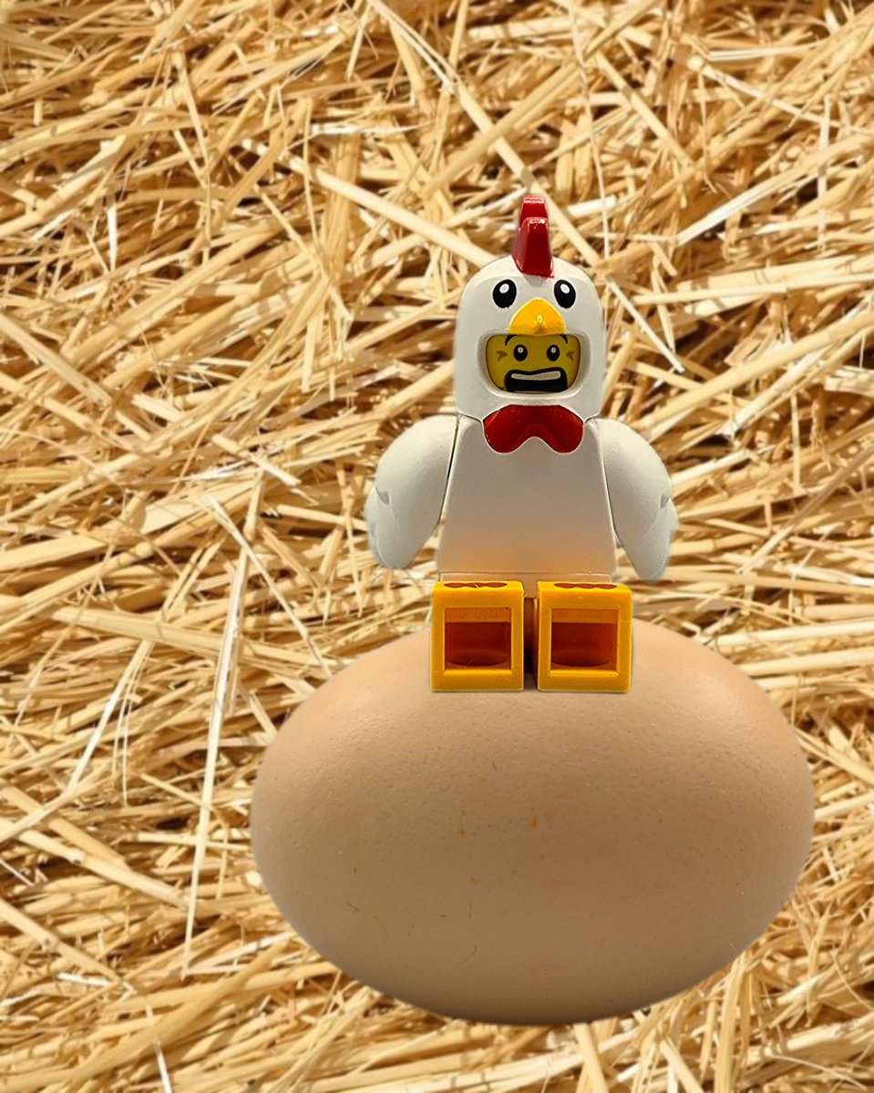 Whew, it’s been a tough day! 😂😂😂 @LEGO_Group #toyphotography #whew #whichcamefirstthechickenortheegg #chicken #egg