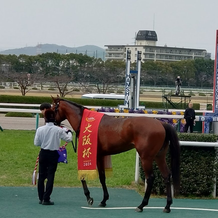 阪神競馬場