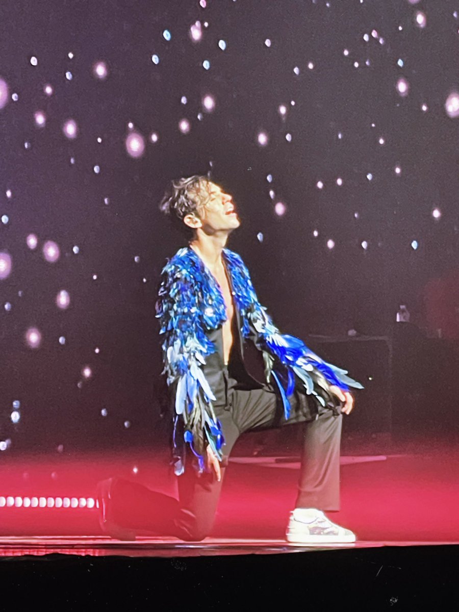 tinyl0v's tweet photo. petites photos de Mika que j'ai prise pendant le concert à Forest National :) https://t.co/B8PRlelR2q