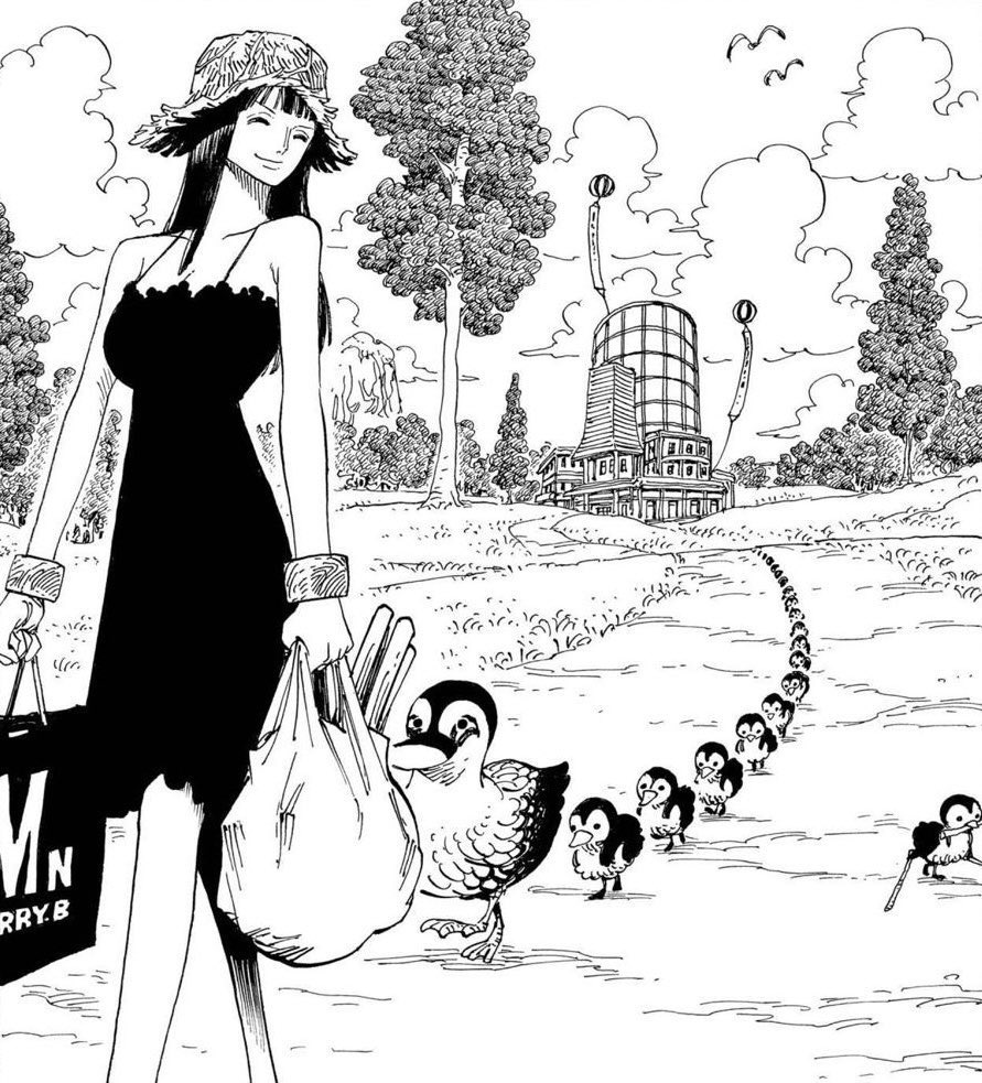 One Piece Daily tweet media