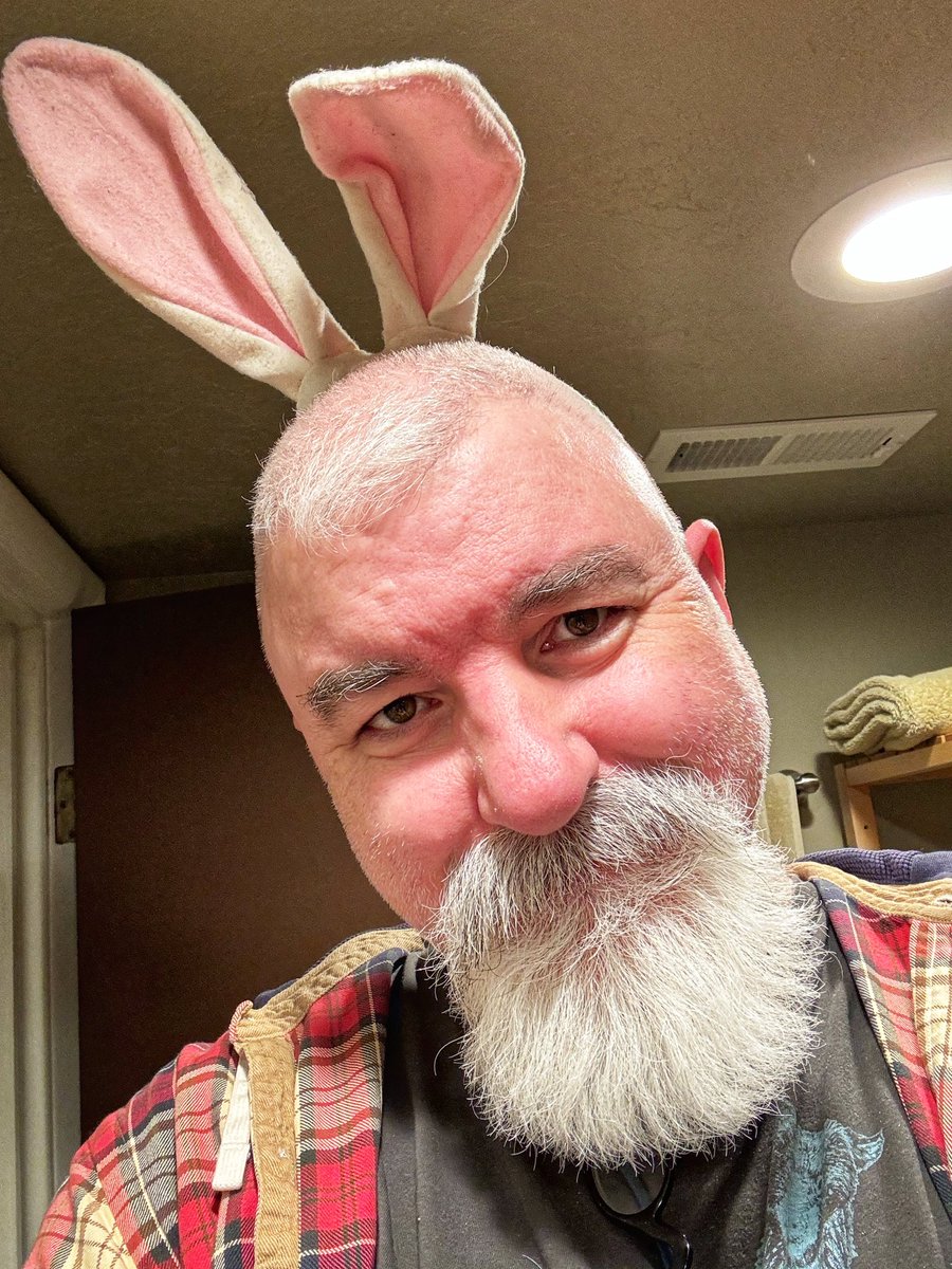 animbear's tweet image. Happy Trans Day Visibility and Rabbit Ear enthusiast. I’m a trans ally and apparently a furry…
#TransDayOfVisibility #RabbitEars