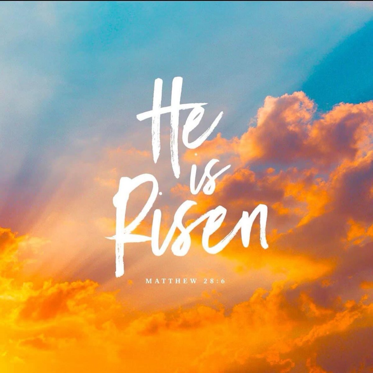 ssingl25's tweet photo. Happy Resurrection Day!! 🙏🏼 https://t.co/zRT8g9ahvB