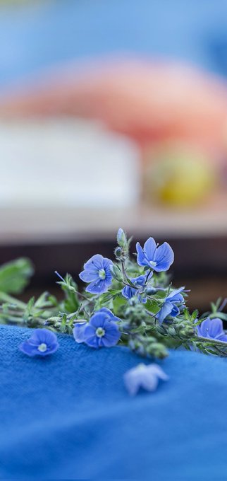 ❤️😻Have a wonderful Sunday 💋😻 #SundayFunday #sundayvibes https://t.co/SnhEvATBI7<a href="/tag/sundayfunday"class="tags">#SundayFunday</a><a href="/tag/sundayvibes"class="tags">#sundayvibes</a>