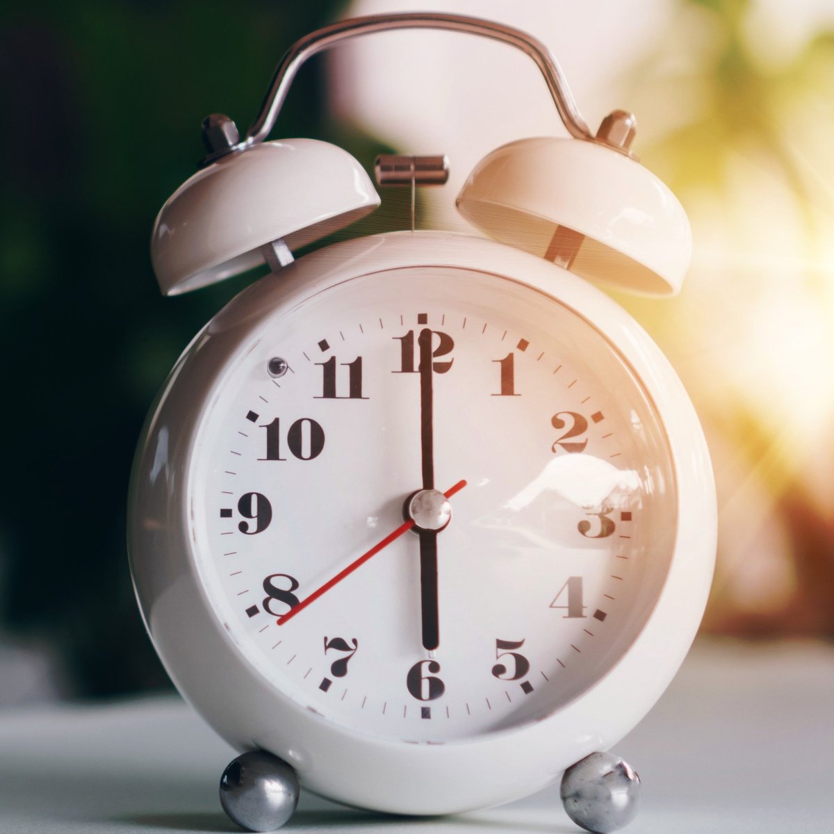 We Are Wayne tweet media