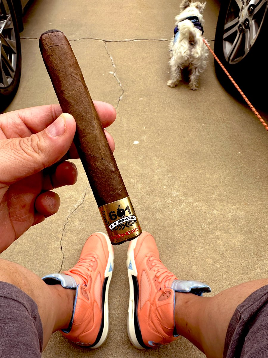 Take the wind away and it would feel so much better. Spent some time outside with the pups. Smoking on the @EspinosaCigars #warheadX #601LaBomba This entire series of cigars have been a masterpiece. 🤌🏽 #cigars #botl #sotl