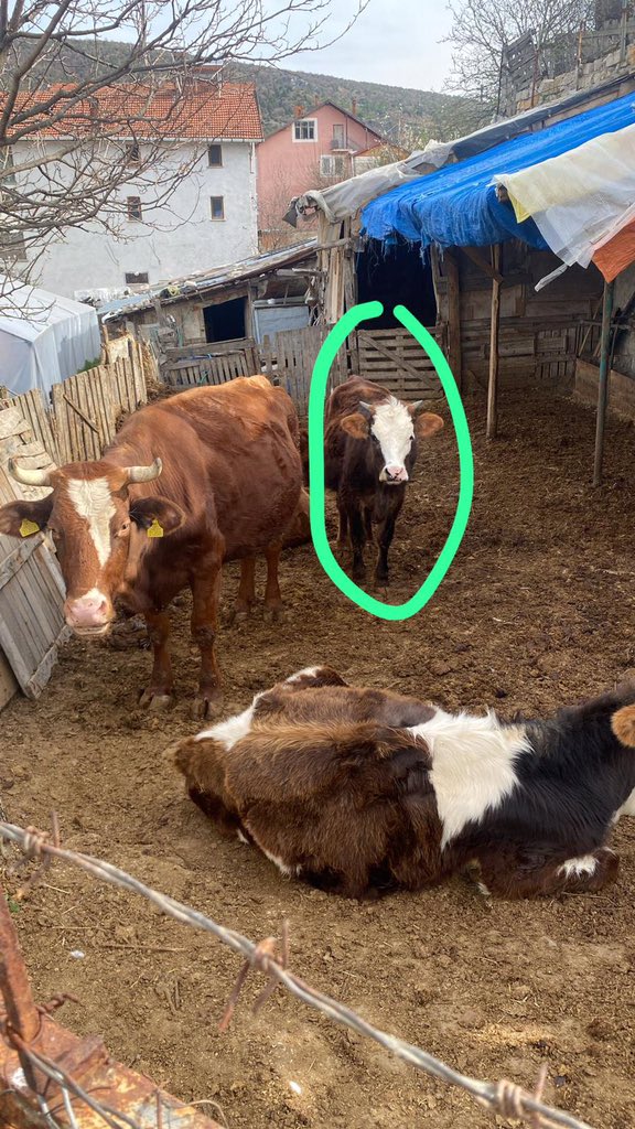 arkadaslar!!! herkes isini gucunu biraksin semiral ve busrayla tanissin