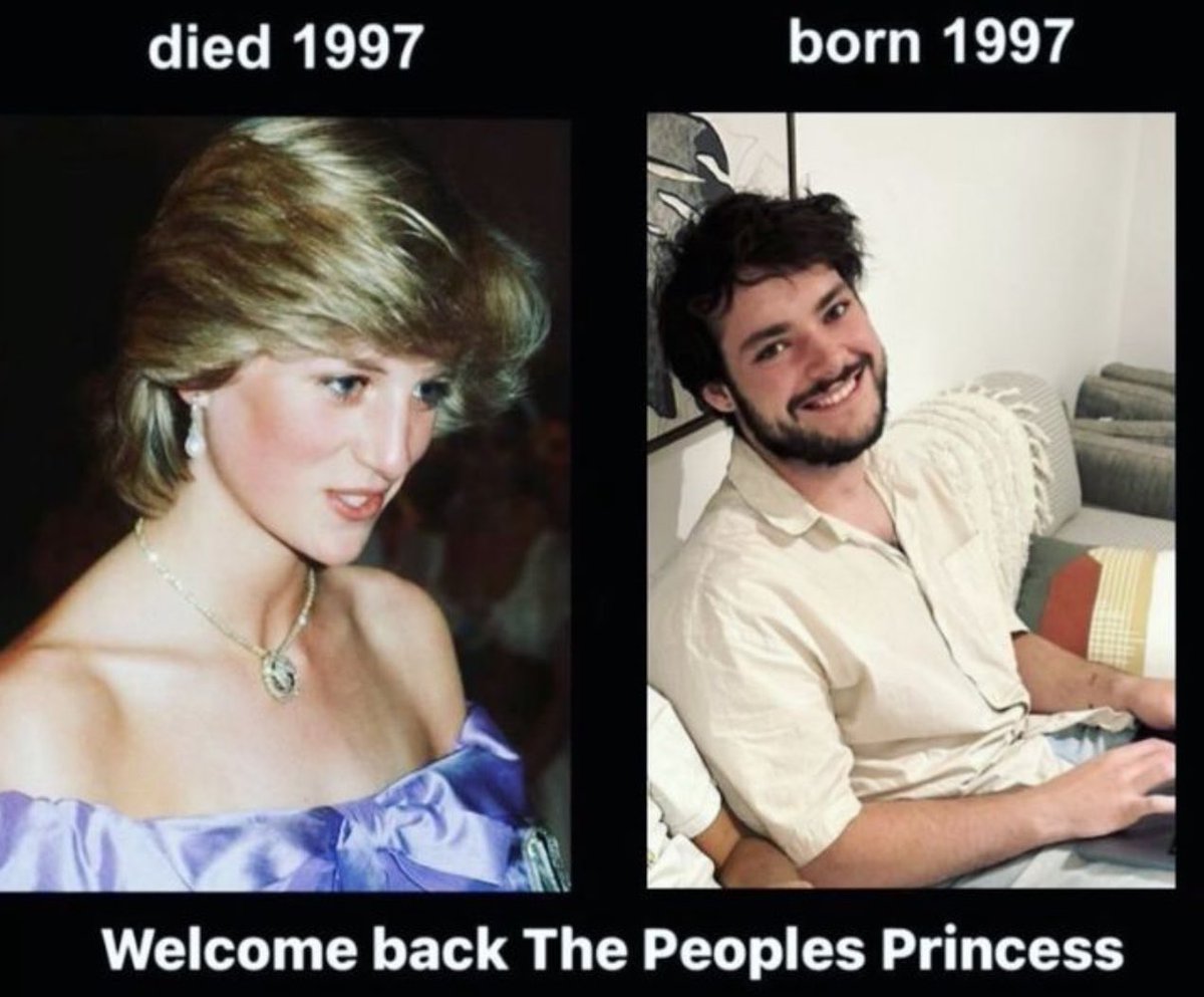 what the fuck is this