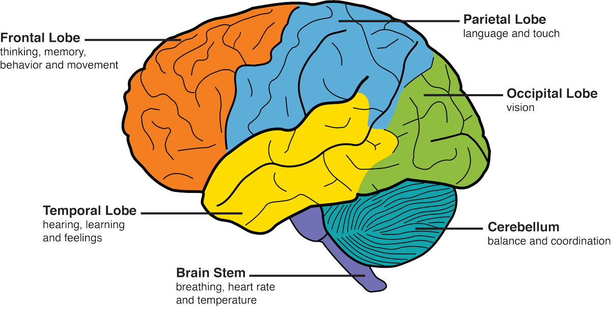 Behavioral symptoms like moodiness, apathy, changes in personality, unsocial behaviors and language difficulty can be part of #dementia. Here are nine tips to help. memory.ucsf.edu/caregiving-sup… via @UCSFmac @UCSF