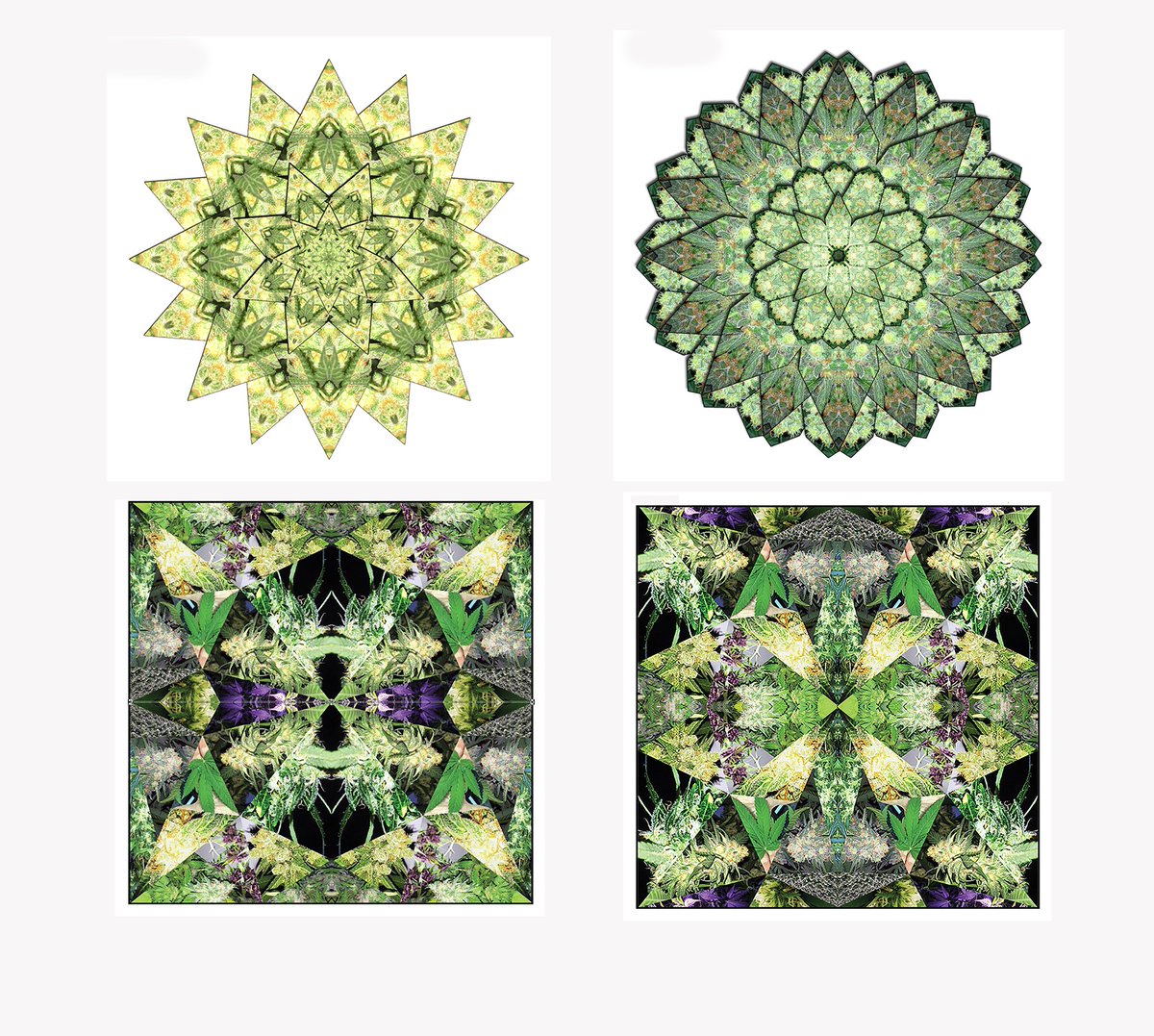 Estou trabalhando há algum tempo em uma coisa que chamo de Cannabis Art. Eu tenho 2 séries, ∆s (forma quadrada) e Estrelas (forma redonda).
Qual deles vocês mais gostam?