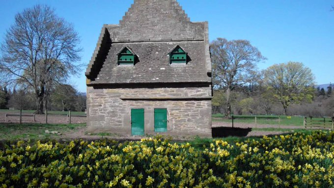 tourscotland's tweet photo. Tour #Scotland short 4K #Spring Easter Holiday Weekend travel video Blog clip of the daffodil flowers by the #Doocot on ancestry history visit and trip to #Glamis #Castle in #Angus. An early 17th century Dovecot on the castle grounds https://t.co/ORXutREaNy https://t.co/xvRoDkRIdy