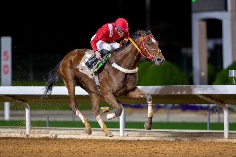 ماي فرانكل للامير فيصل بن خالد 
كاس ولي العهد  للمستورد 2022 .2023 
من نجوم الميدان السعودي