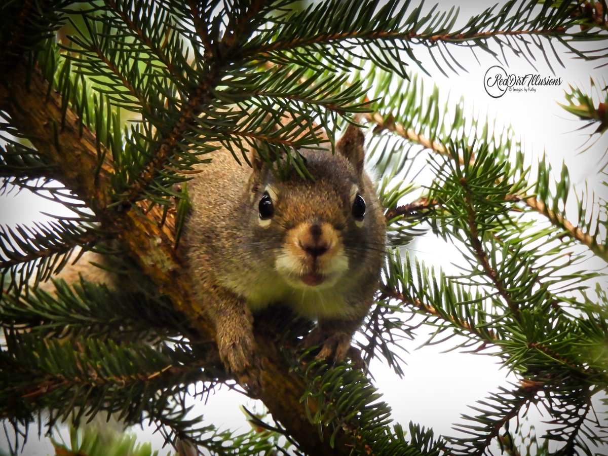 sempereadum's tweet image. Good Morning Twitter Folk!☕️

It&apos;s April 1st... April Fool&apos;s...
Also #FunAtWorkDay.

Now, just who is having Fun at work on a friggin&apos; Monday?!😆
I suppose it can be done if enough effort is applied...😏

Have a Fun day everyone😊
And be careful with those April Fool&apos;s jokes...😉