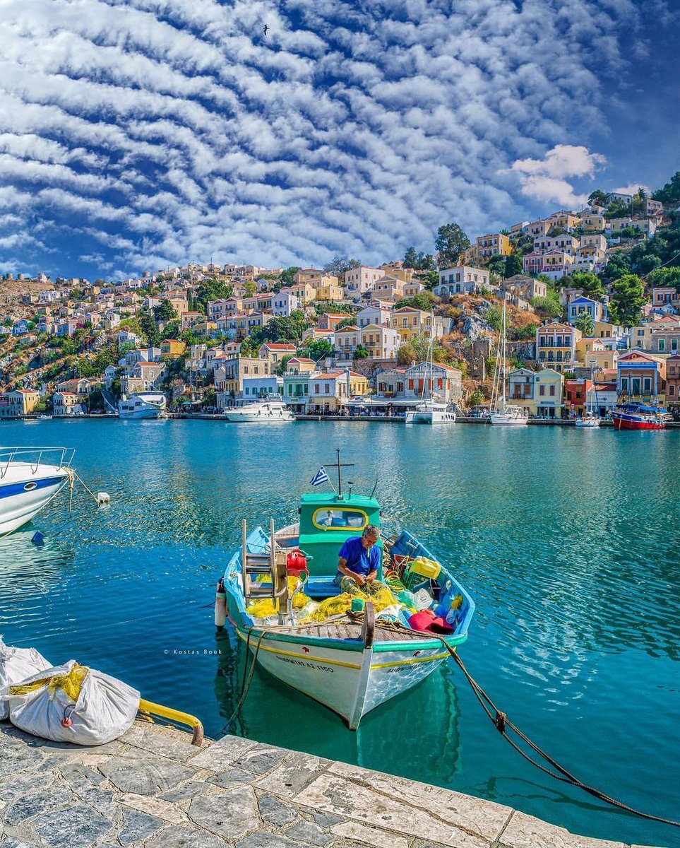 Jamil tharp tweet media