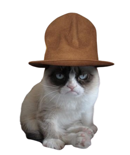 GrumpyOnSol's tweet photo. Bayzed Burn, could send.

No no, $GRUMPY needs to send.

Stay strapped 🔫 https://t.co/yKdZc2q4QV