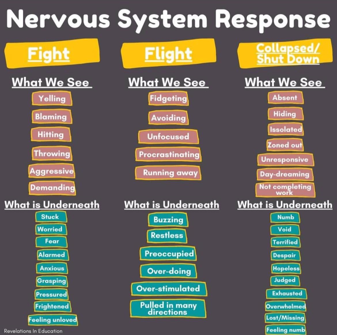 We too have the collision of emotions and sensations that create our behaviors! Awareness is enough as we begin to reach beneath our behaviors and wonder! We may not be physically hitting but what are we resisting? Where are our absences? #educators #education