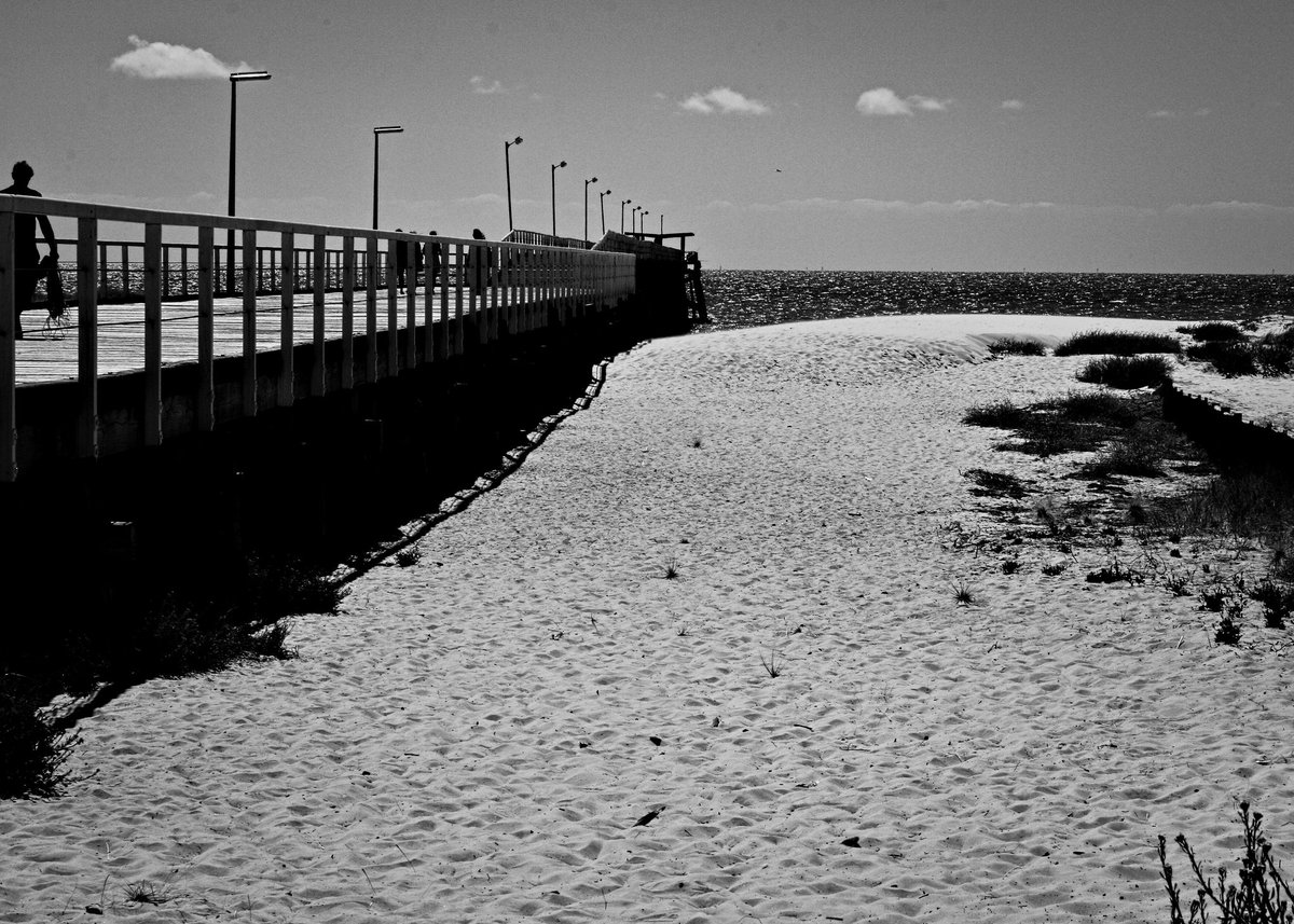 csdock's tweet image. Shadowed sands