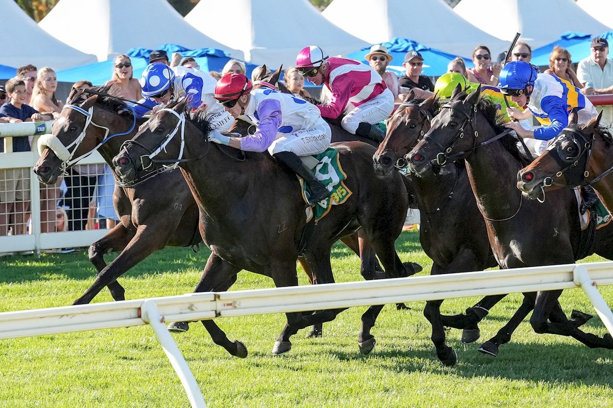 buff.ly/3TDe4QN Cloud 9 continues for Dalziel Racing & connections... Dalziel Racing enjoyed an incredibly Good Friday finishing first and third in the $500,000 Country Discovery at Yarra Valley, the days feature race.