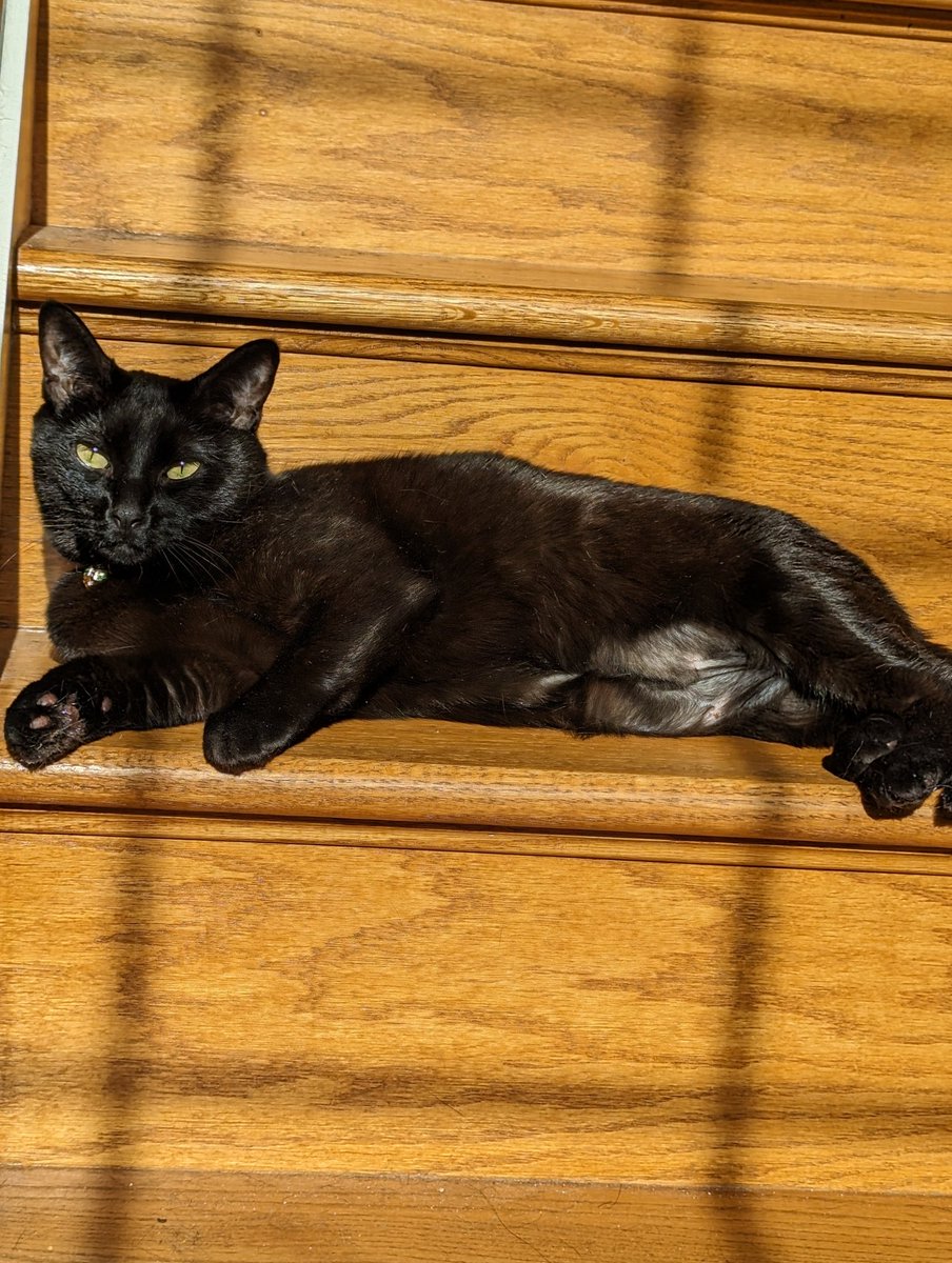 My Nugget is in this! 😁