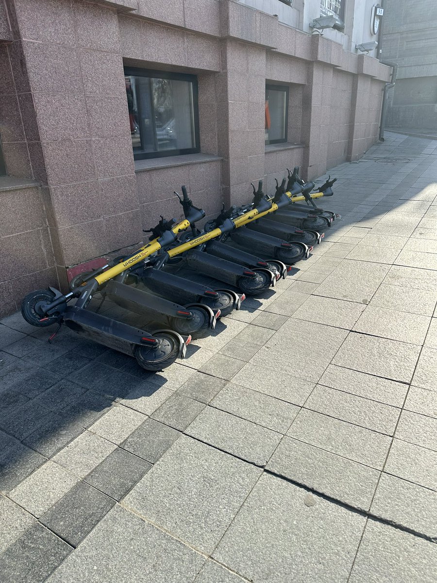 Бляяя… гомокаты вытащили в городе