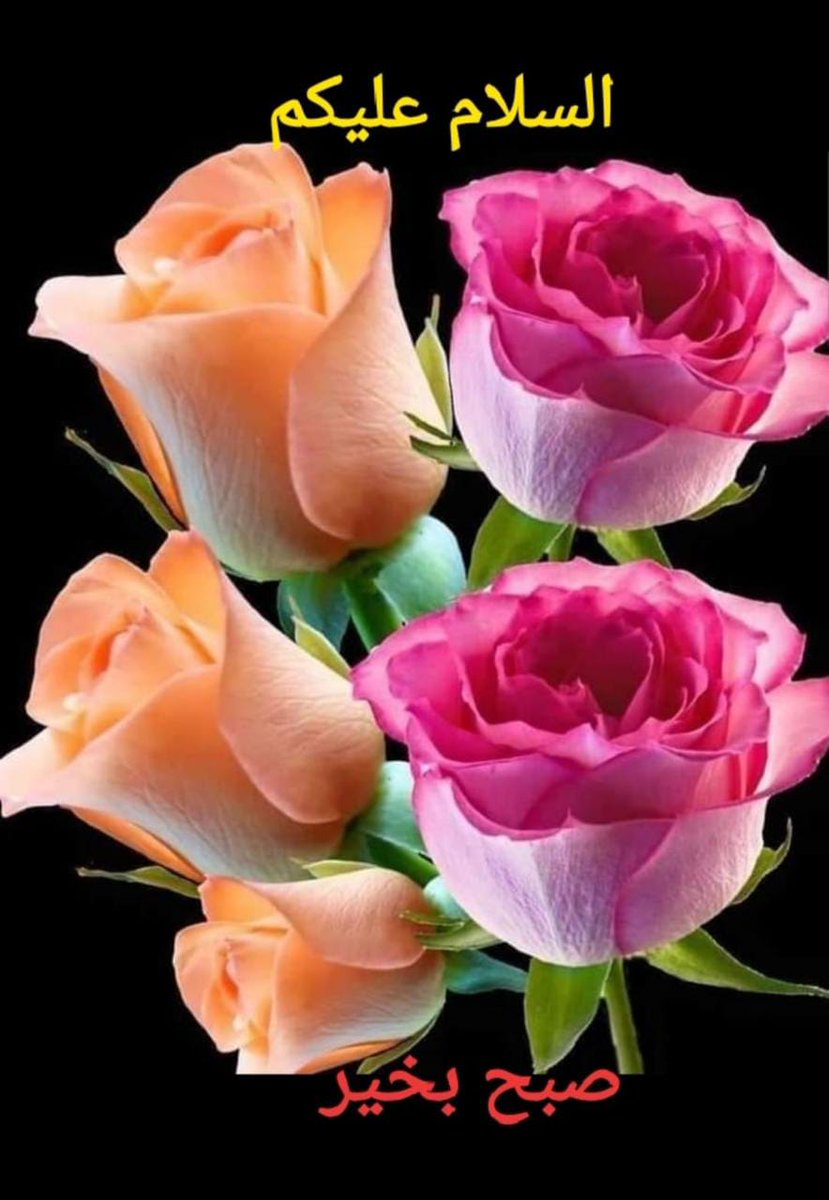Good Morning 
Have a beautiful day