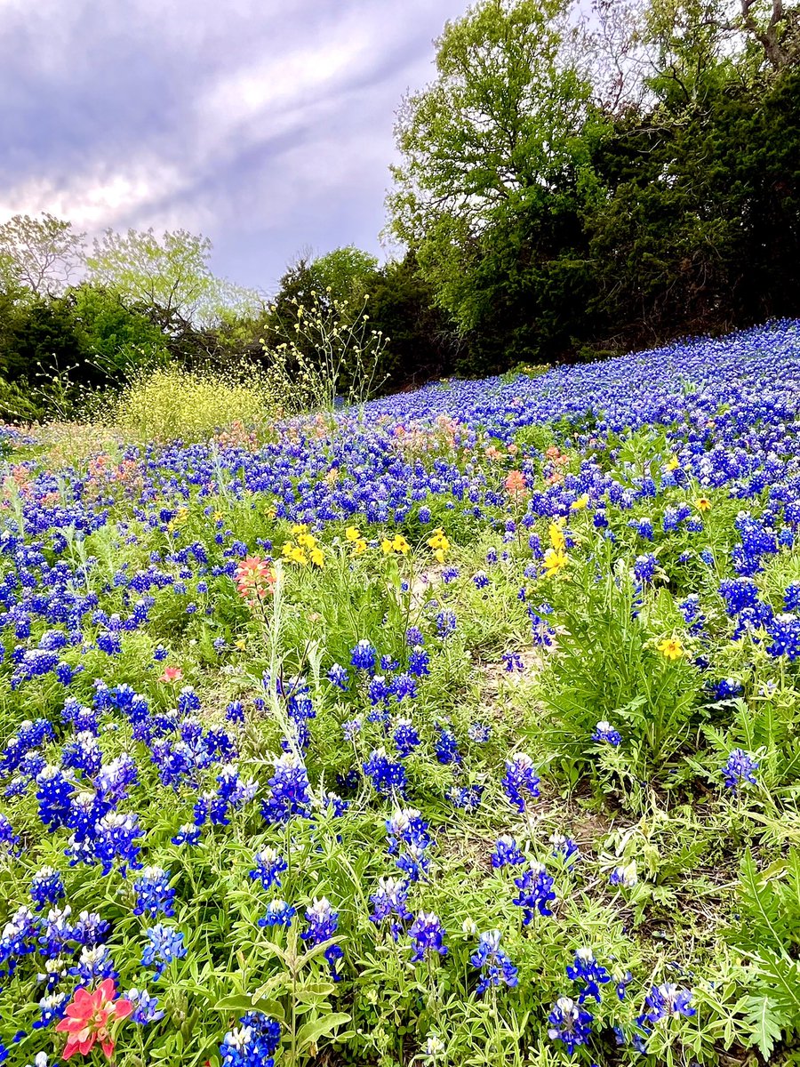 Russell J. Warren tweet media