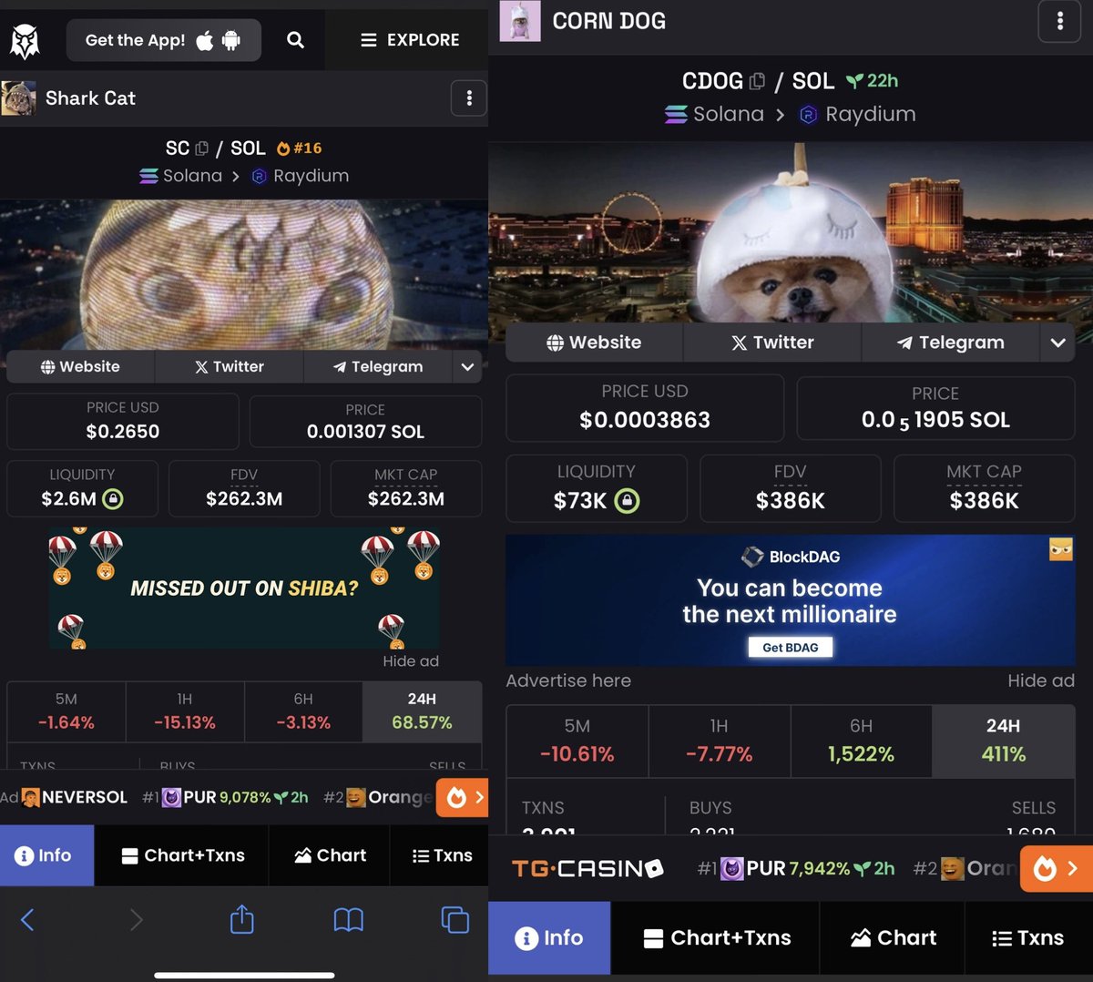 Both community takeovers my bros. 
🦄🐶🦄🐶🦄🐶🦄🐶🦄🐶🦄🐶🦄

Most followed Cat on instagram 

Most followed Dog on instagram