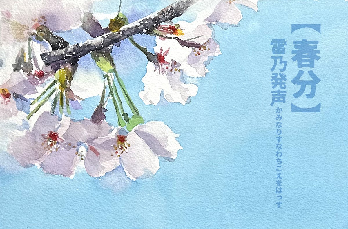 「二十四節気「春分」。京都快晴。昨日より咲いたかな?これから取材〜! #Water」|わへい水彩画@京都水彩画塾塾長のイラスト