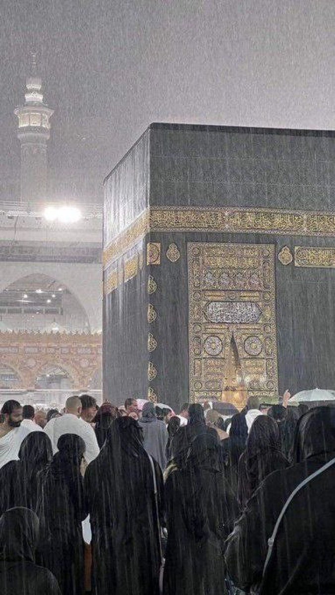 مُزدانَةْ tweet media