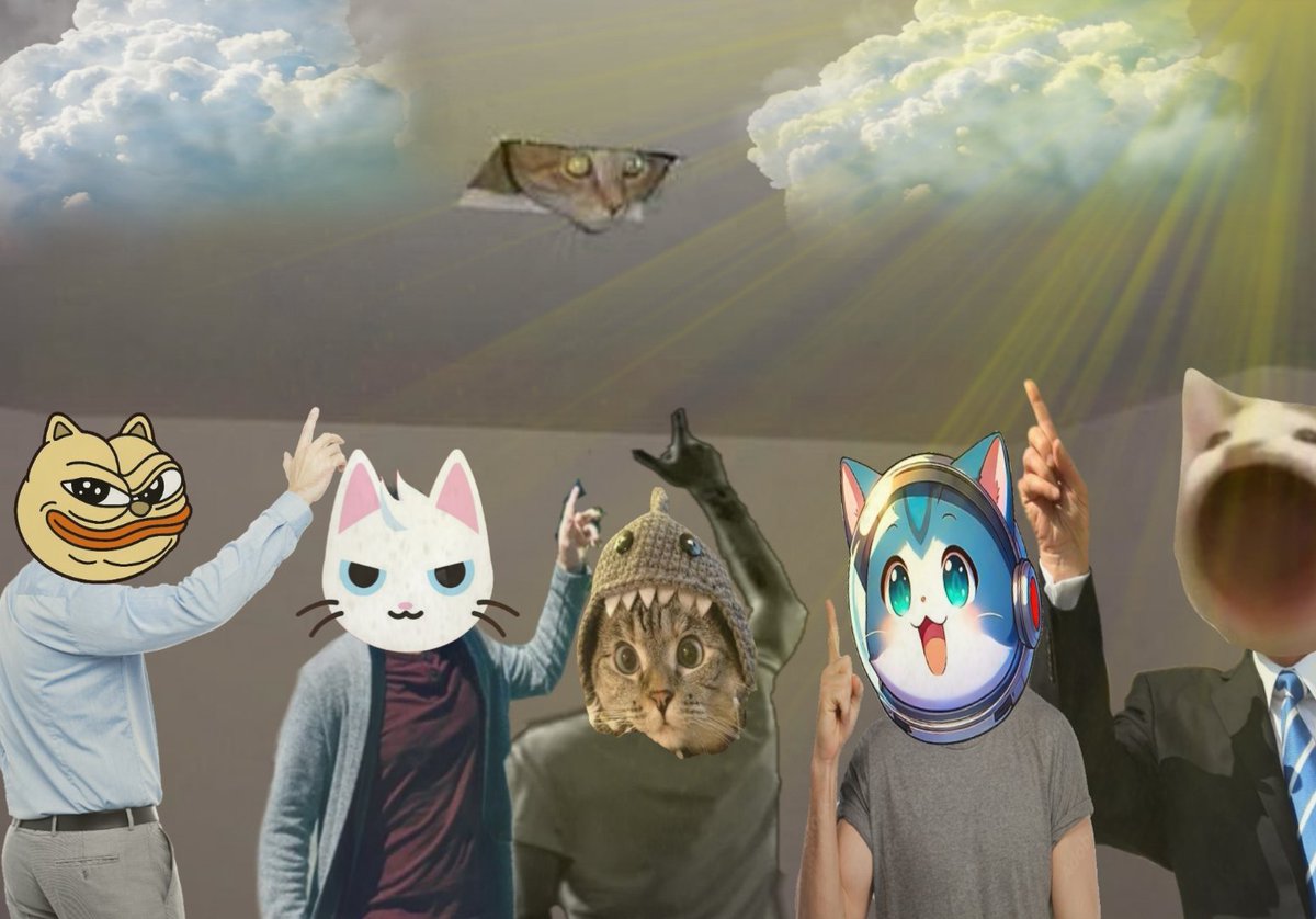 BIMBA 🦔⛓️ tweet media