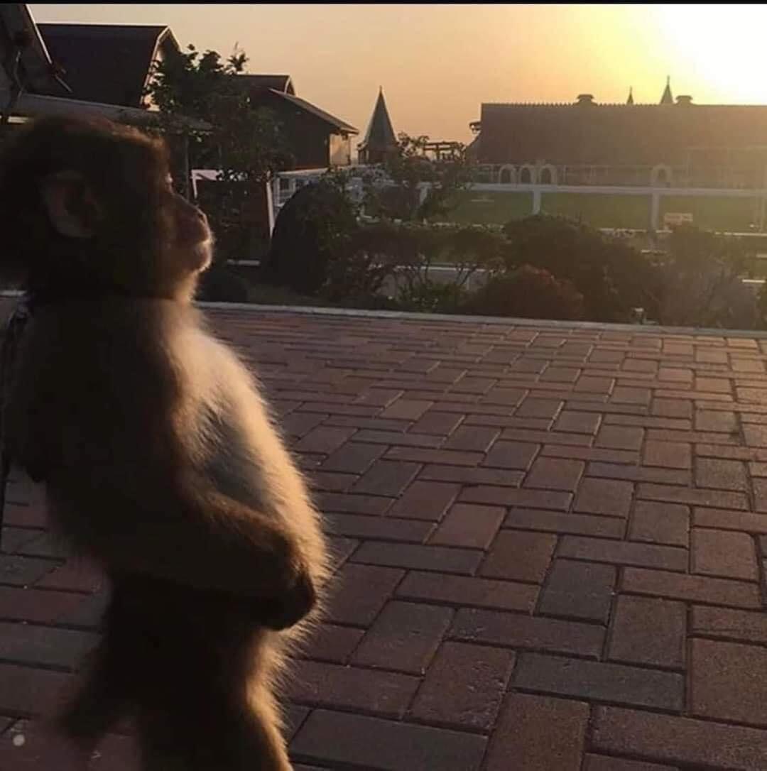 Yo viendo mis últimas horas de vacaciones.