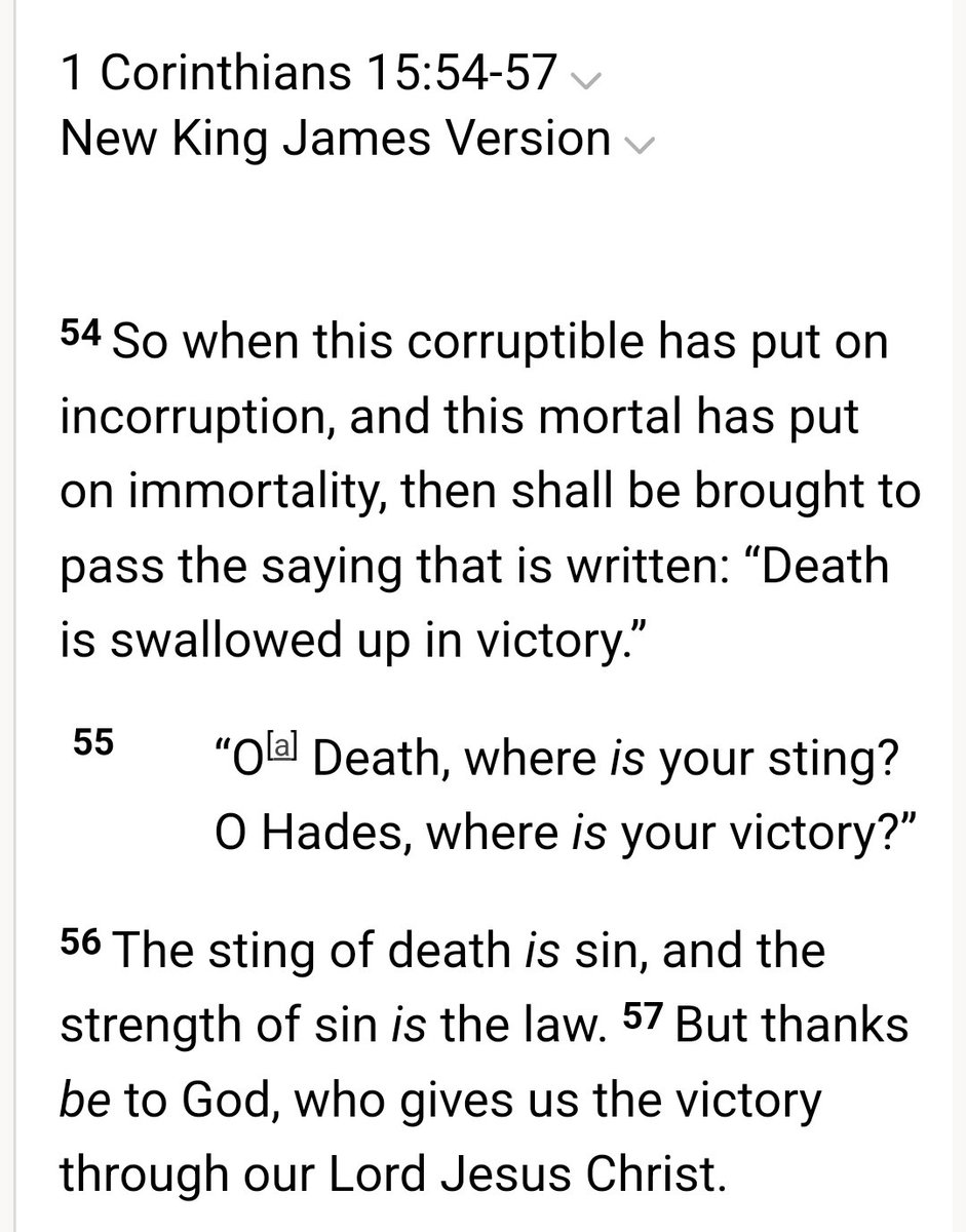 T E T R A from the Future tweet media