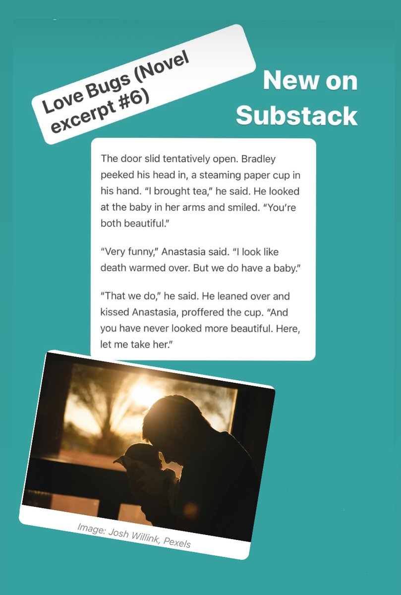 NEW ON SUBSTACK: Novel excerpt #6 (Love Bugs): rickiheller.substack.com/p/love-bugs-no…