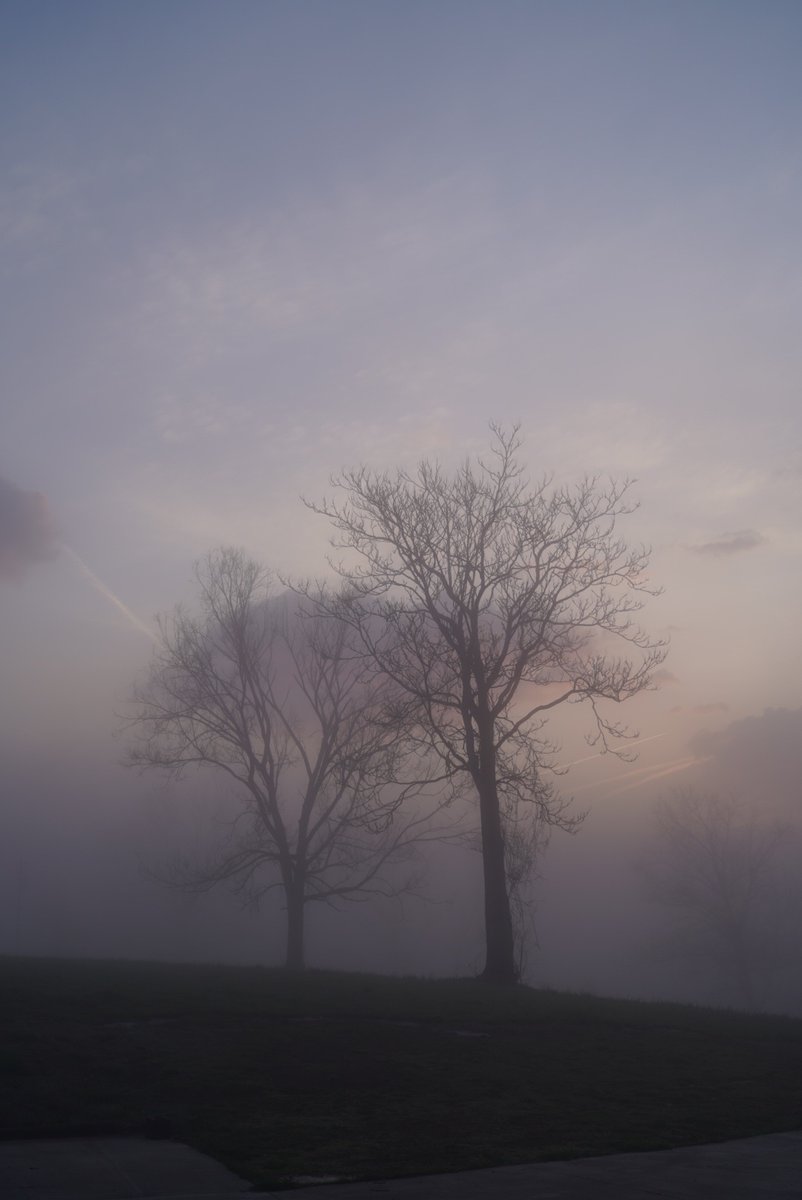 The Ear Doc👂🇨🇦 tweet media