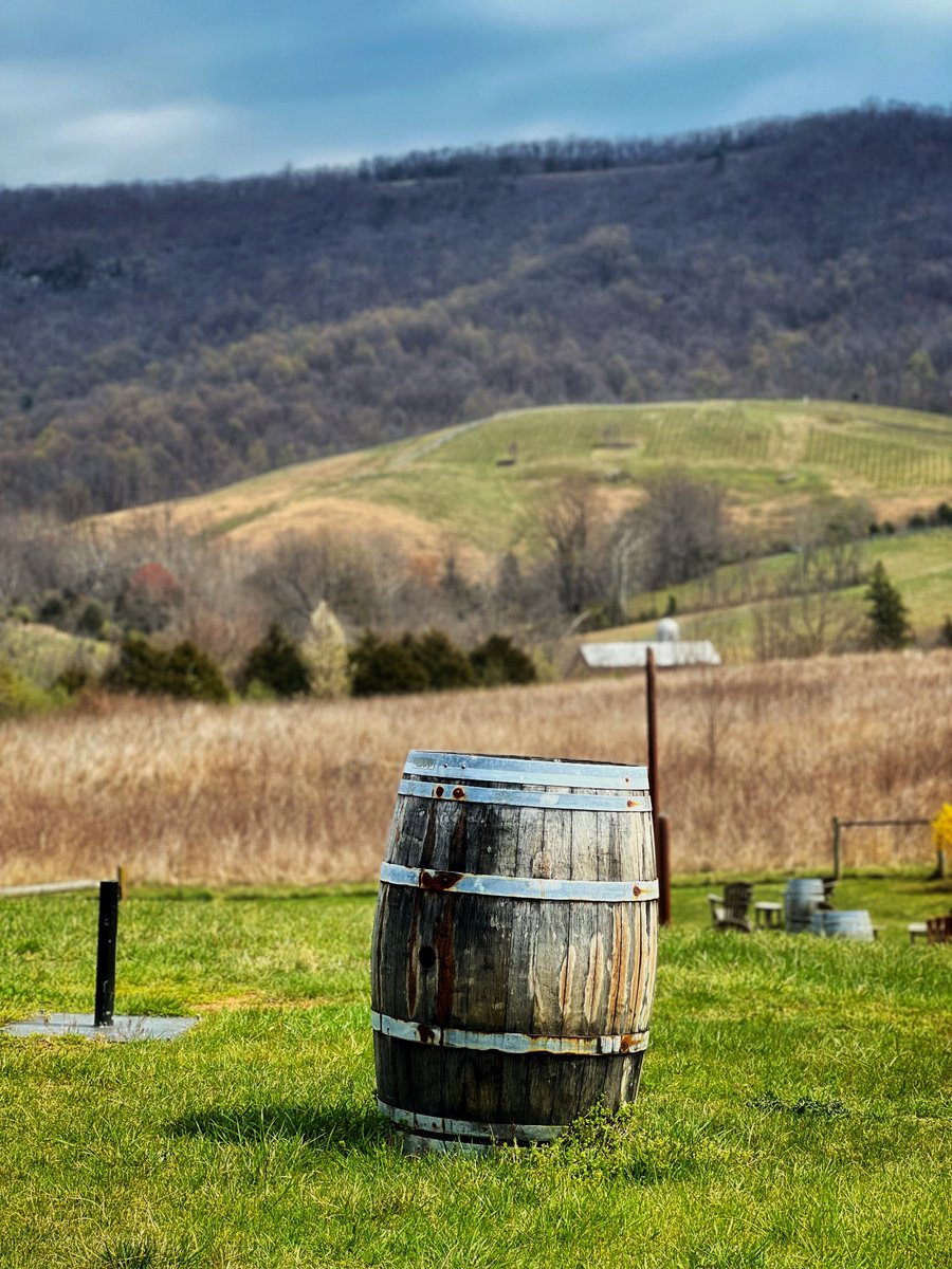 The Ear Doc👂🇨🇦 tweet media