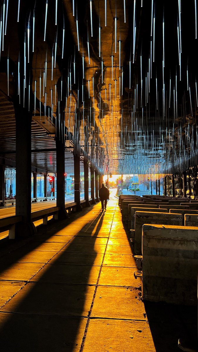 The Ear Doc👂🇨🇦 tweet media