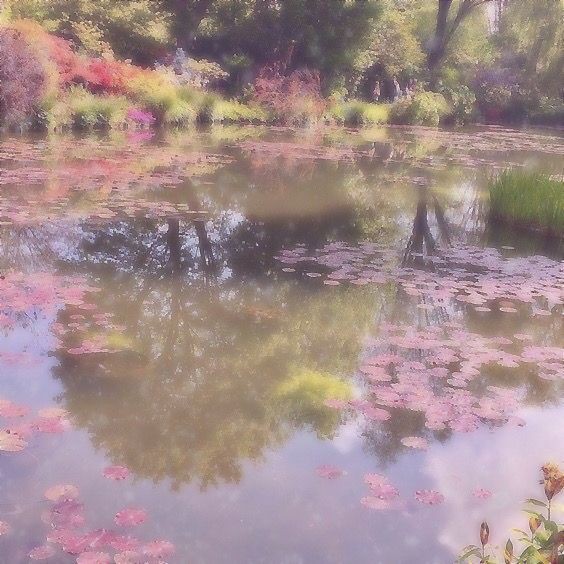 𖦹 ࣪ ۪ ☆ ࣪ ˓˓ 𝓝a𝓝a ִ ࣪ ۪ 🎀 ָ֢ ! tweet media