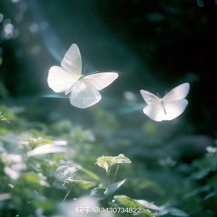 𖦹 ࣪ ۪ ☆ ࣪ ˓˓ 𝓝a𝓝a ִ ࣪ ۪ 🎀 ָ֢ ! tweet media