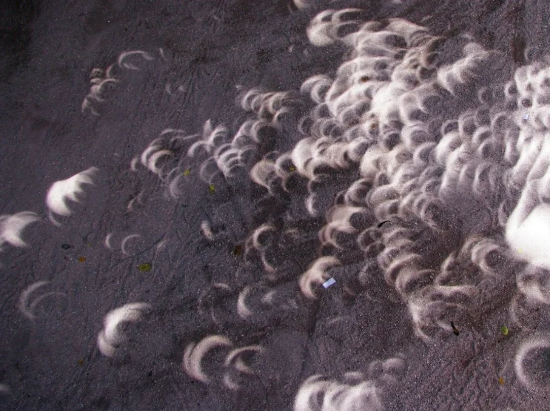 If you don't have proper solar glasses, look down, not up. Make a simple pin-hole camera by puncturing a small hole in cardboard or paper. An image of the eclipse will be cast on the ground. Tree leaves can do this naturally.