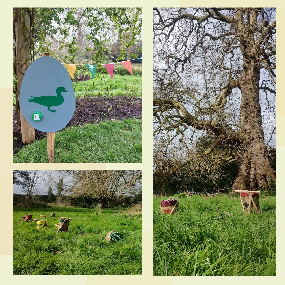 We've loved seeing everyone on the trail this weekend enjoying the sunny weather and there's still more fun to be had! ☀️
Take a peek at some of our trail activities and make sure not to miss out. We have just 3 days for you to join in the Easter excitement! 🐣 
#EasterTrail