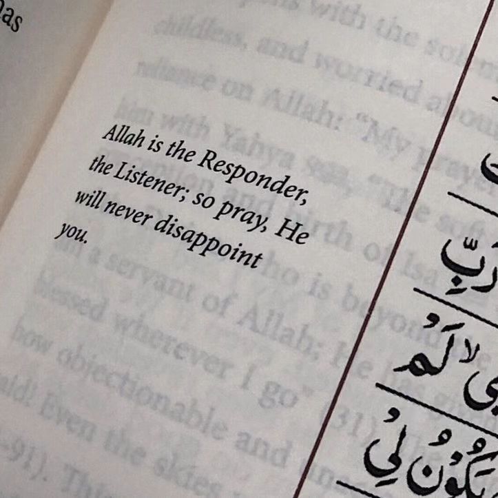 Al__Quraan's tweet image. Allah will never disappoint you.