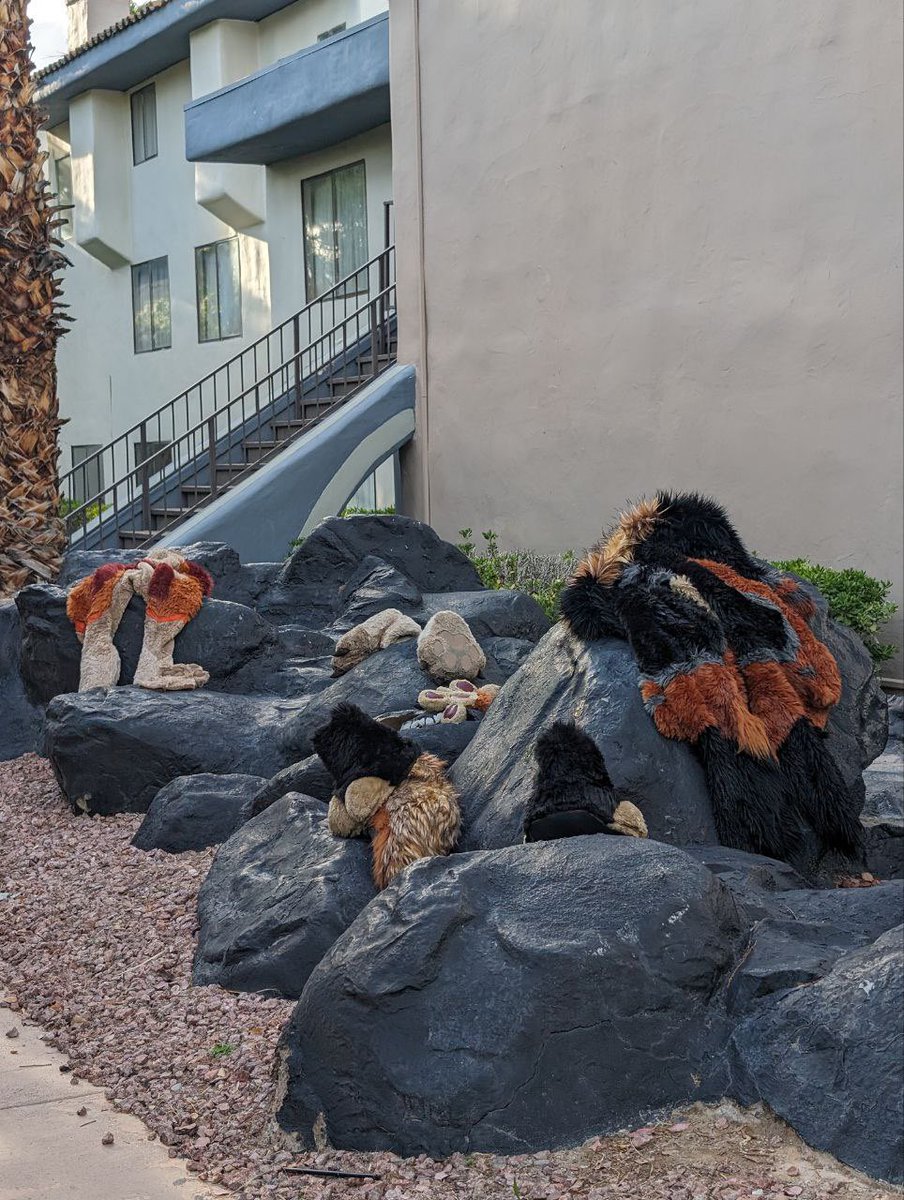 macromun's tweet photo. NOOOOOOOOO
In broad daylight too 😭

#LVFC2024 

( @PureRubyDragon &amp; @cowdogcoyote took a dip IN SUIT ) https://t.co/vxvb1vuoQu