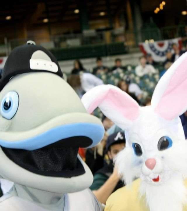 Gill_Chinook's tweet image. Happy Easter to Nook Nation!

From your favorite fish and a bunny in a Brewers jersey!