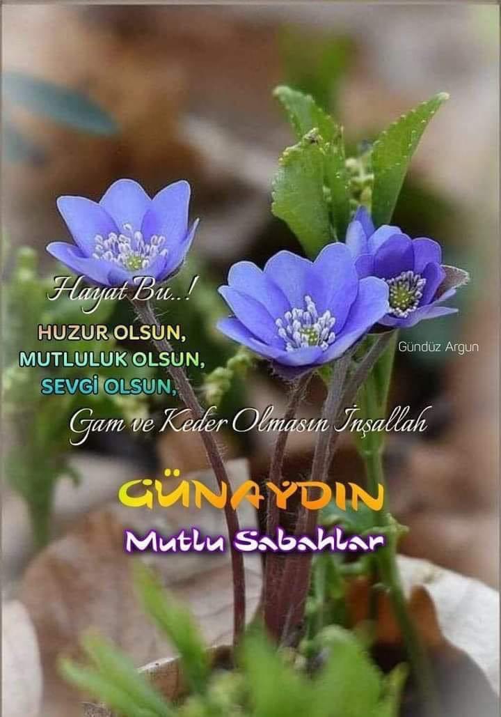 Günaydın ve hayırlı haftalar. 🙏🖐️😀🍒💙❤️💖🙋🌻💎🌲🌿🍁💗🏝️🏞️🌅 #EskiUzmanÇavuşlar #2000LereAcilEşitlik #StajÇırakSigortasıSGKBaşlangıcıOlsun #Hatay Yavuz Ağıralioğlu Ak Parti Genel Merkezi'nde Gökhan Athena Özlem Zengin