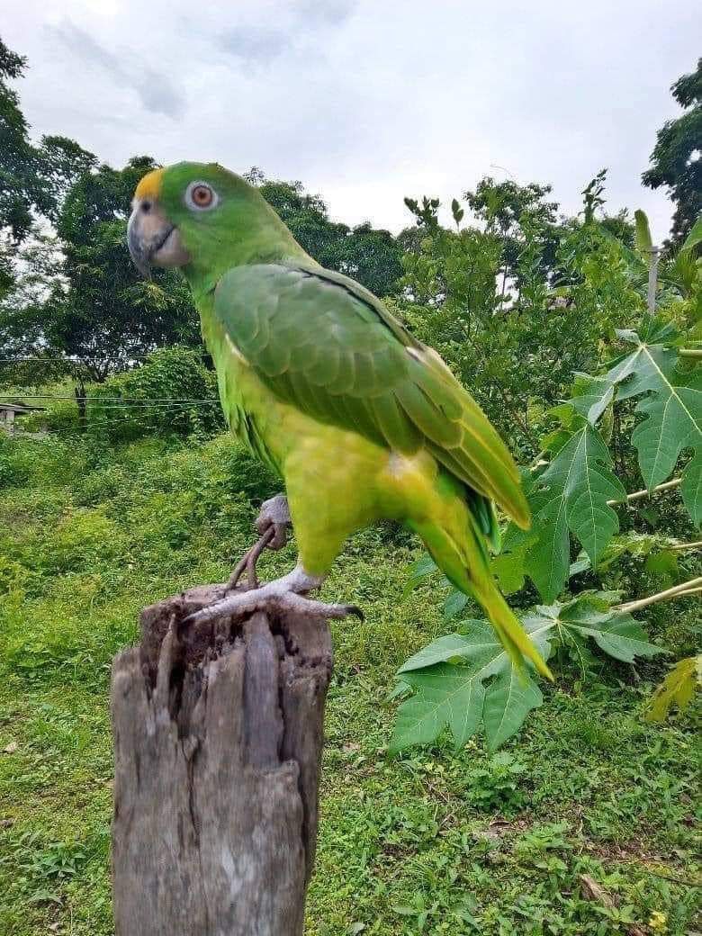 अतिथि देवो भव:🥰🥰🥰🥰