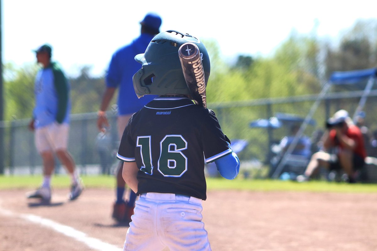 #maruccibaseball #knightsknation