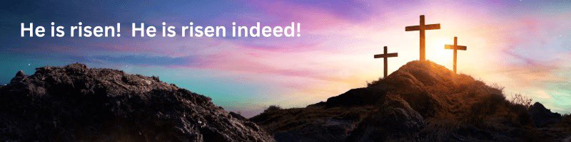 Nancy Janus (she/her) tweet media