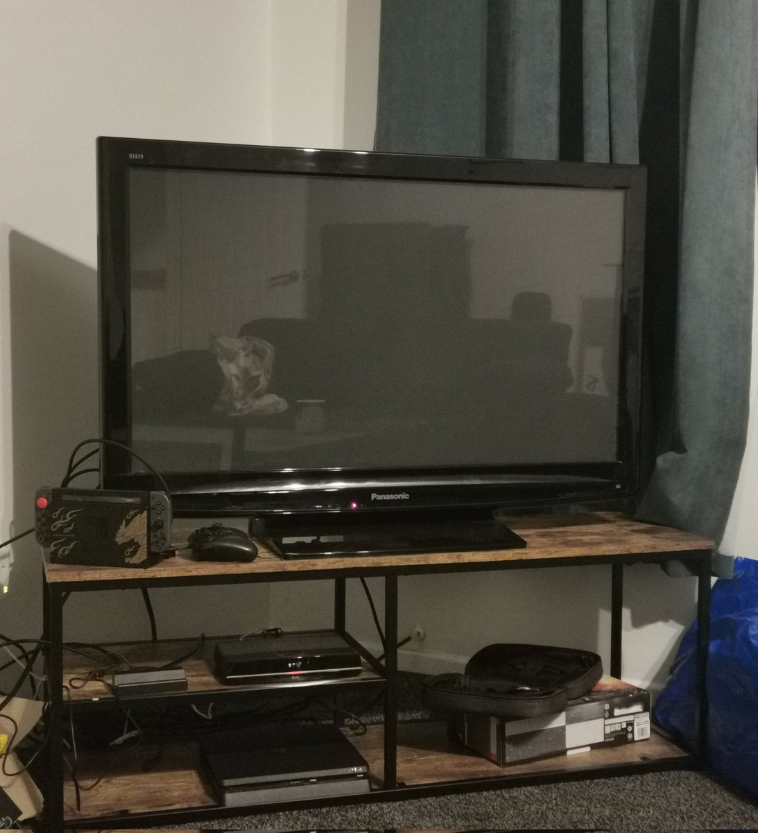 Poogie 😎 tweet media