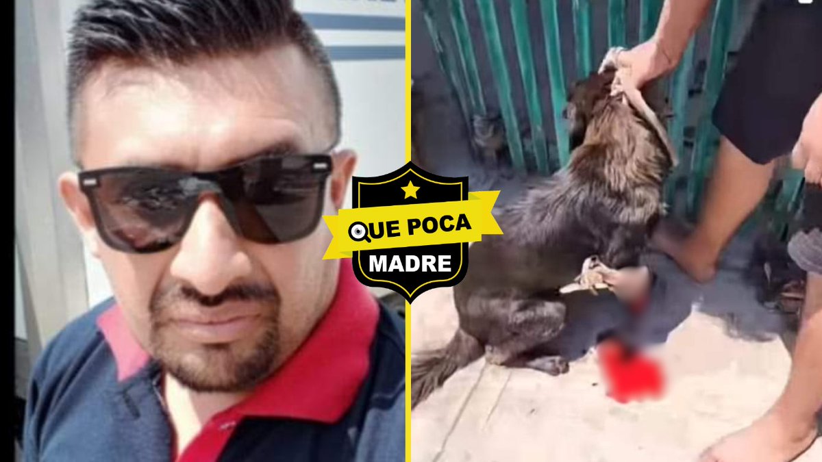 Qué Poca Madre tweet media